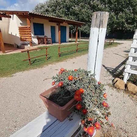 Agriturismo Oca Giuliva Lido dei Pini Luaran gambar